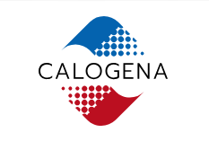 Projet de chaufferie nucléaire sur le site du CEA Cadarache - Calogena